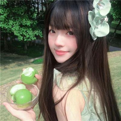 新夏威夷神探第三季